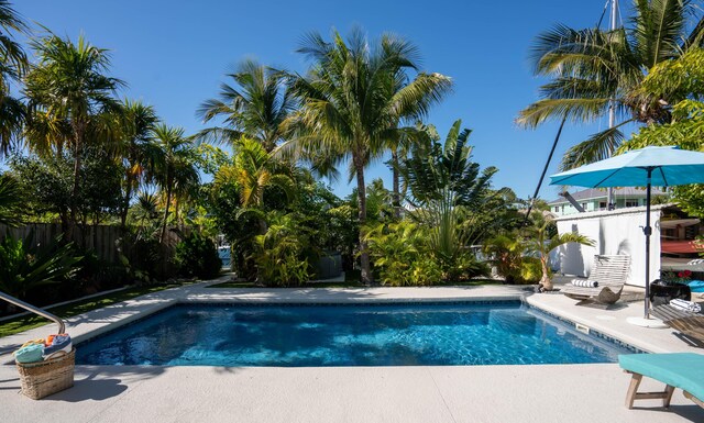 view of pool featuring a patio area