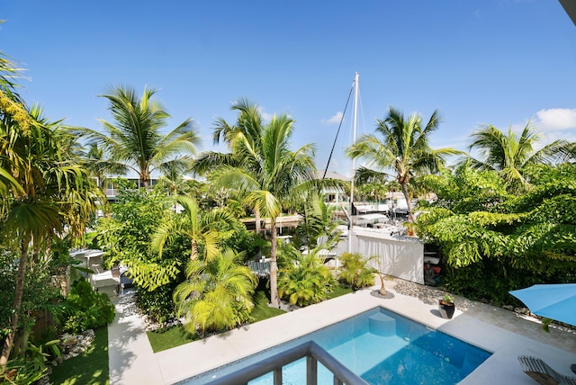 view of pool featuring a patio