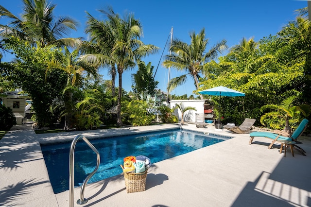 view of pool featuring a patio