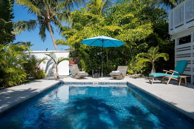 view of swimming pool with a patio area