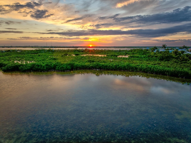 property view of water