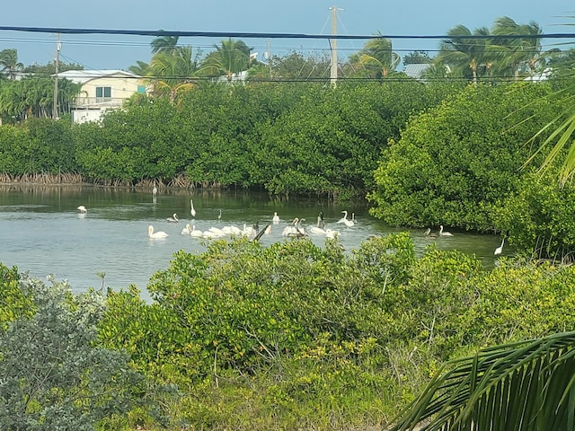 property view of water