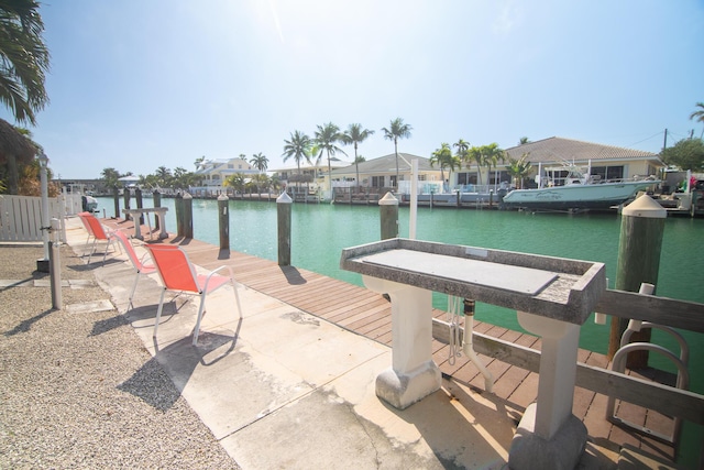 dock area with a water view