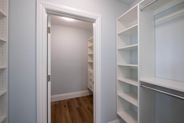 walk in closet featuring wood finished floors