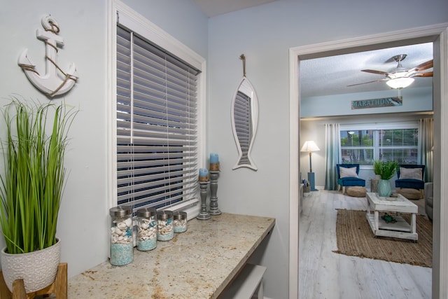 interior space featuring light hardwood / wood-style flooring