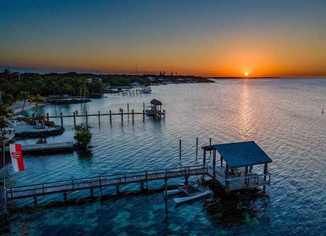 dock area with a water view