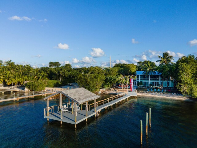 dock area with a water view