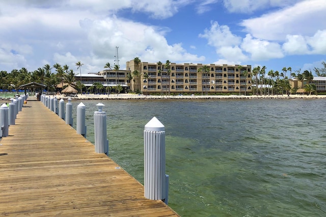 dock area featuring a water view