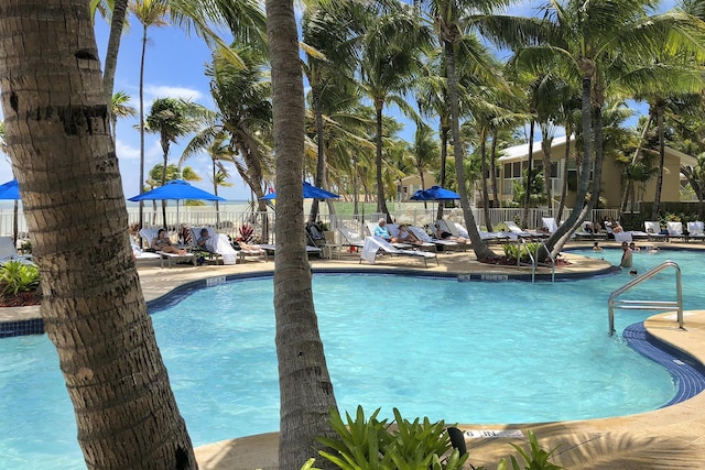 view of pool featuring a patio area