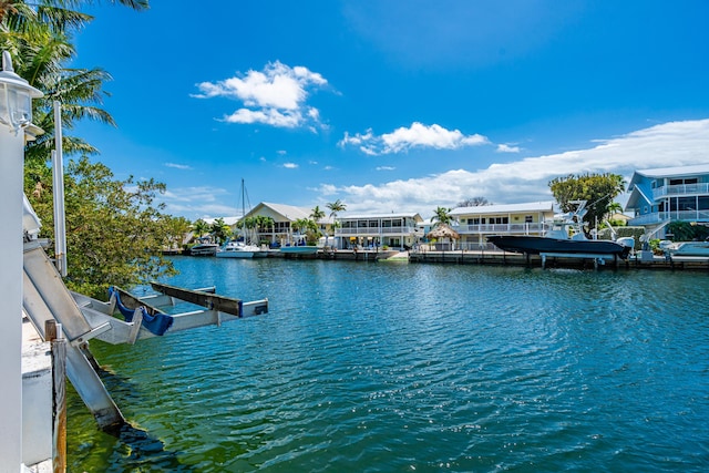 dock area with a water view