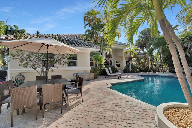 view of pool with a patio