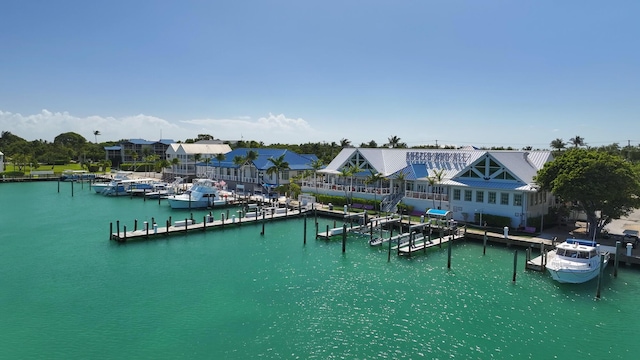 dock area with a water view