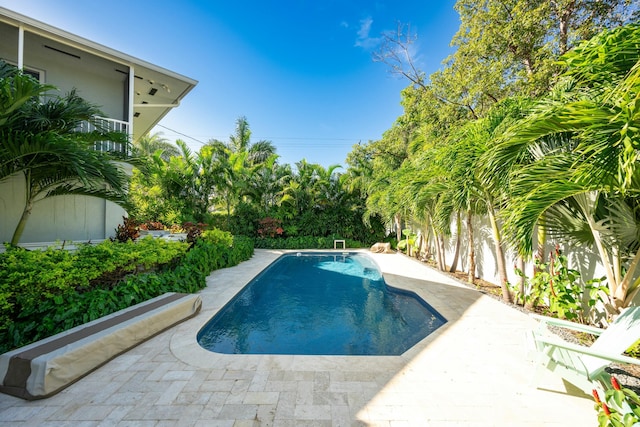 view of pool featuring a patio area