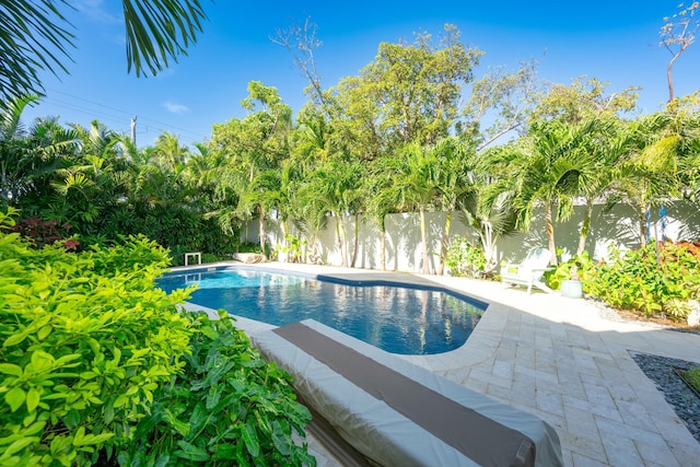 view of pool with a patio area