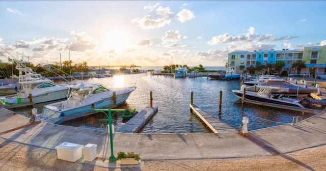 dock area with a water view