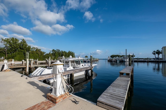 dock area with a water view