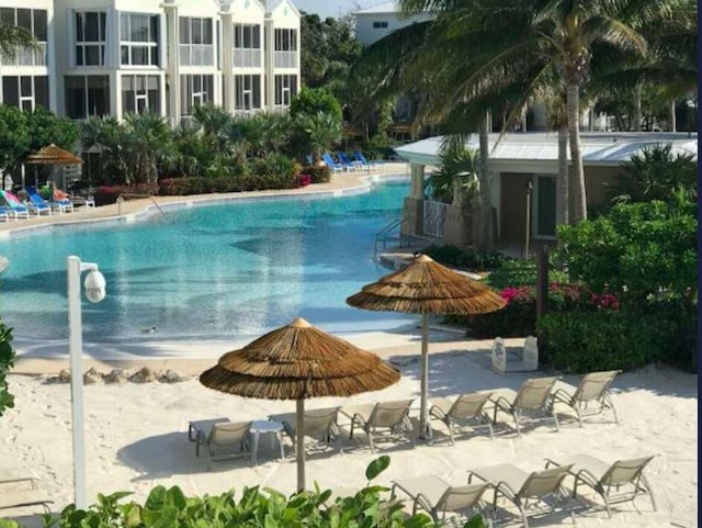 view of swimming pool with a patio area