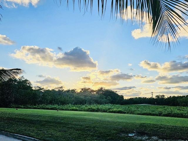 view of yard at dusk