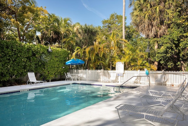 view of pool with a patio area