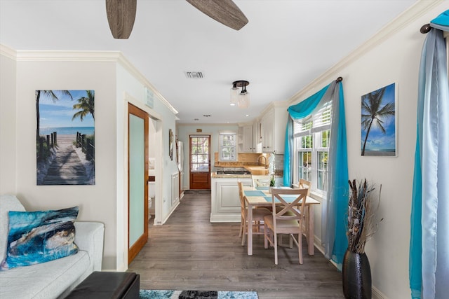 kitchen with crown molding, white cabinetry, a healthy amount of sunlight, and backsplash