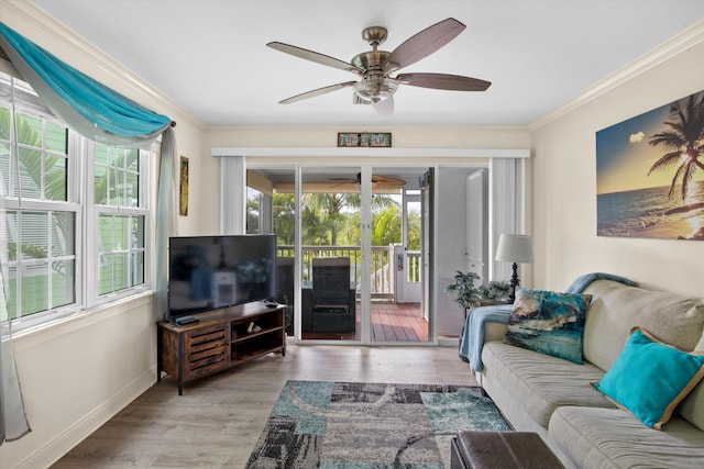 living room featuring ornamental molding, ceiling fan, and light hardwood / wood-style flooring