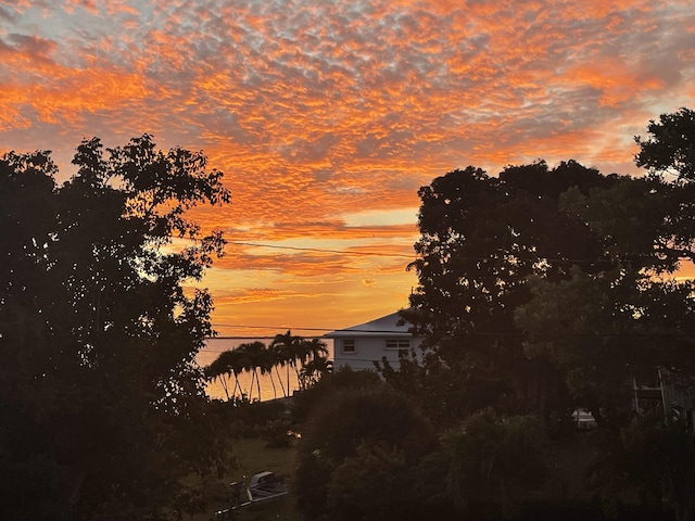 view of nature at dusk