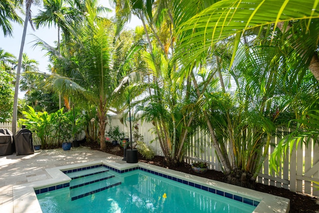 223 Golf Club Dr, Key West, FL 33040 - view of swimming pool with a fenced backyard, a fenced in pool, and a patio area