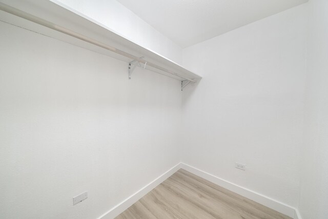 spacious closet featuring light wood-style floors