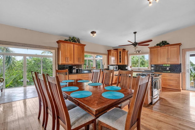 dining room featuring ceiling fan and light hardwood / wood-style flooring