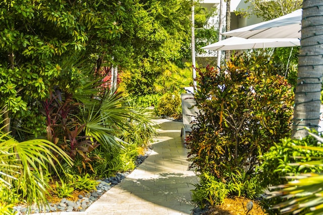 view of yard featuring a patio