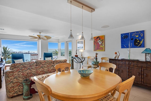 dining room featuring a ceiling fan and wood finished floors