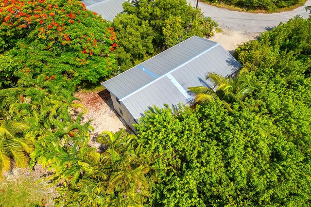 29951 Pine Channel Rd, Big Pine, FL 33043 - photo 9