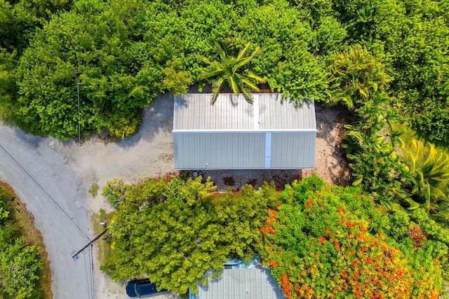 29951 Pine Channel Rd, Big Pine, FL 33043 - photo 3