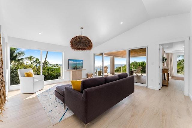 living room featuring high vaulted ceiling, plenty of natural light, and light hardwood / wood-style floors