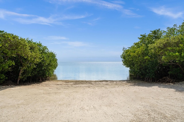 property view of water