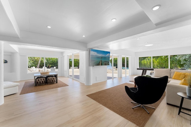 living room featuring beam ceiling, a healthy amount of sunlight, and light wood-type flooring