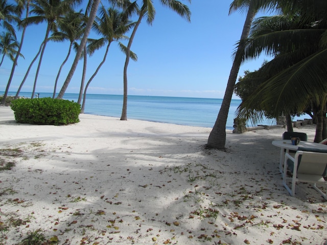 water view featuring a beach view