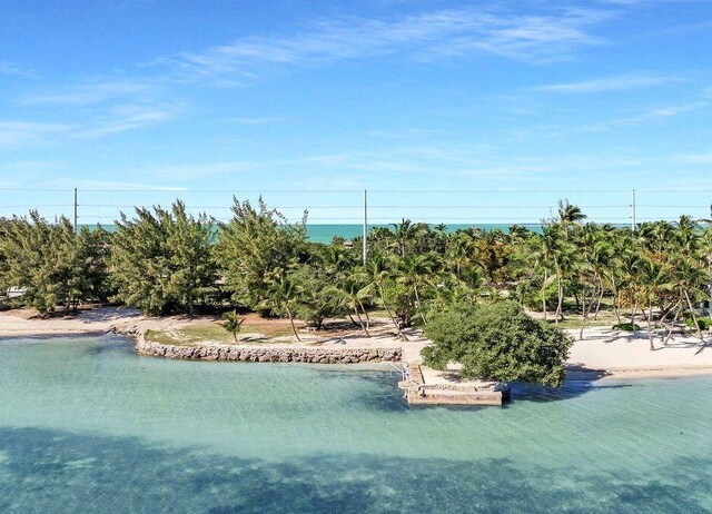 view of swimming pool featuring a water view