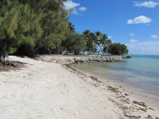 view of water feature featuring a beach view