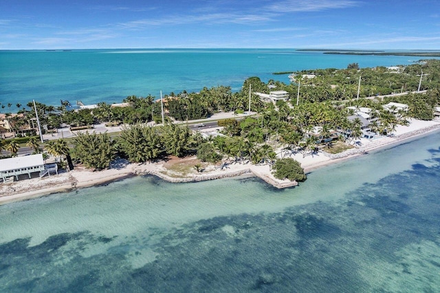 drone / aerial view with a view of the beach and a water view