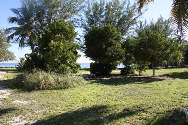 view of yard with a water view