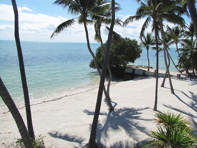 property view of water featuring a beach view