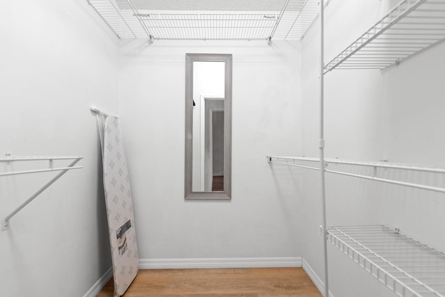 walk in closet featuring hardwood / wood-style flooring