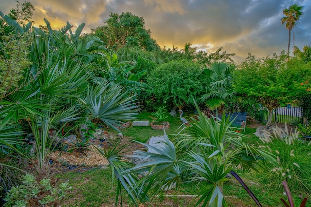 view of nature at dusk