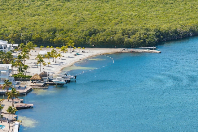 aerial view featuring a water view and a beach view