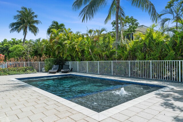 view of swimming pool with a patio