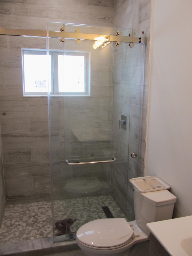 bathroom with vanity, toilet, an enclosed shower, and a wealth of natural light