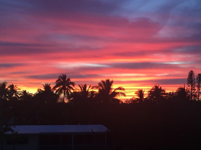 view of nature at dusk