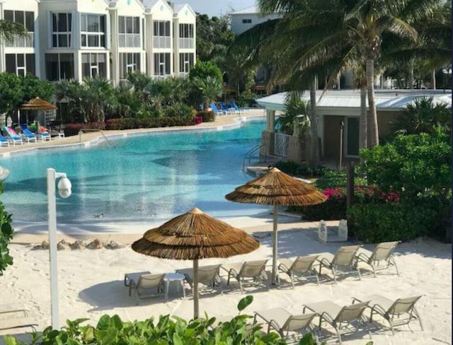 view of pool featuring a patio area