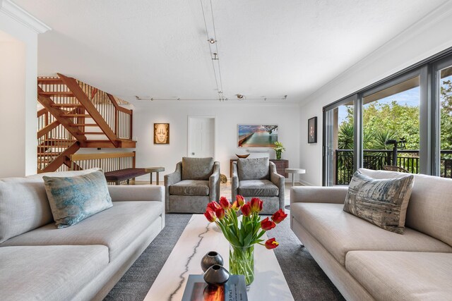 living room featuring crown molding and track lighting